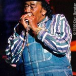 Get Your Mojo Working with James Cotton